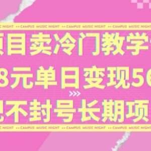 售卖冷门教学课程一单88元 低门槛长期副业实操玩法揭秘-雨叶虚拟资源网