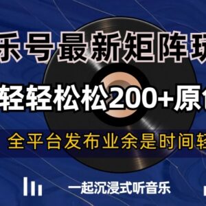 抖音音乐号矩阵最新玩法 零基础可日产200+原创混剪作品-雨叶虚拟资源网