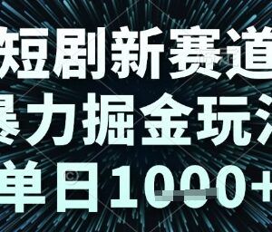 2024短剧新赛道低门槛掘金玩法详解 新手操作单日可实现千元收益-雨叶虚拟资源网