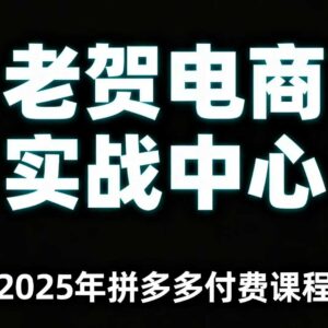 2025年老贺拼多多运营付费课程 通俗讲解平台全阶段实操玩法-雨叶虚拟资源网