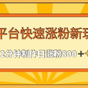多平台快速涨粉实用玩法 2分钟制作内容单日稳定涨粉800+-雨叶虚拟资源网