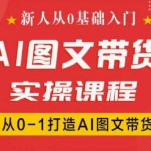 新人0基础抖音AI图文带货实操课 从0到1全流程运营教学-雨叶虚拟资源网