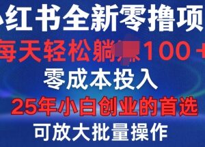 小红书纯零撸项目操作指南 无门槛可批量运营轻松日入百元-雨叶虚拟资源网