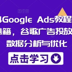 2024最新Google Ads谷歌广告教程 投放流程+数据分析优化询盘指南-雨叶虚拟资源网