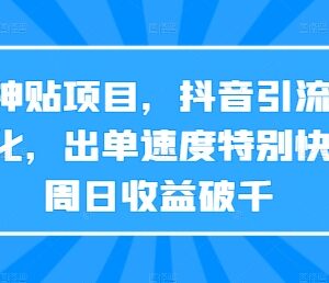 天涯神贴项目实操指南 抖音引流公众号转化快速获收益方法-雨叶虚拟资源网