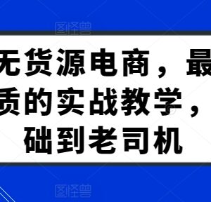 淘宝无货源电商系统实战教学 从入门到高阶运营全流程教程-雨叶虚拟资源网