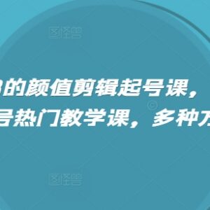 抖音颜值美女号剪辑起号教学课 含多种主流变现玩法实操教程-雨叶虚拟资源网