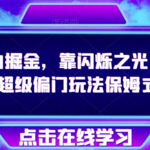 抖音闪烁之光偏门掘金保姆级教学 无需养号可稳定获取高收益-雨叶虚拟资源网