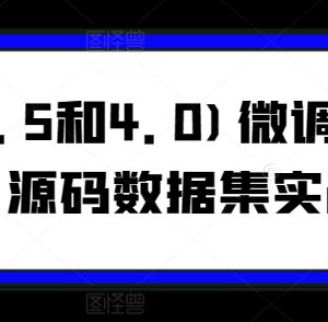 GPT3.5/4.0微调入门到实战教程 附源码数据集实战案例-雨叶虚拟资源网
