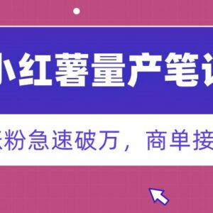 小红书正念打卡量产笔记实操 新号快速涨粉接商单玩法拆解-雨叶虚拟资源网