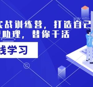 AI智能体实战训练营课程 从零搭建专属代理助理自动处理事务-雨叶虚拟资源网