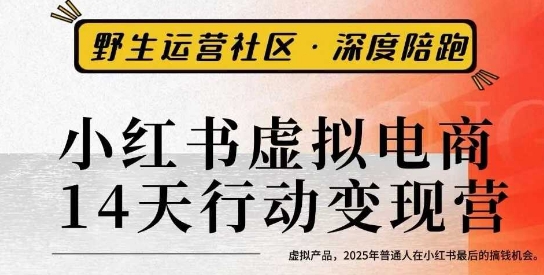 2025小红书虚拟电商14天变现训练营3.0 普通人搞钱实操教程
