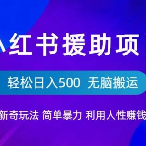 小红书流浪狗援助项目玩法拆解 零基础搬运兼职可轻松日入500-雨叶虚拟资源网