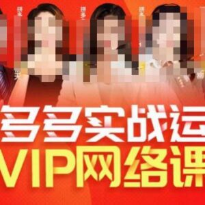 2023推易拼多多VIP全套直播课 店铺实操选款直通车玩法教学-雨叶虚拟资源网