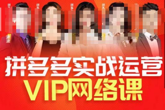 2023推易拼多多VIP全套直播课 店铺实操选款直通车玩法教学