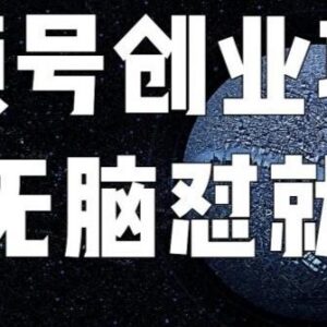 收费198元最新视频号连怼技术 原创内容爆单玩法完整揭秘-雨叶虚拟资源网