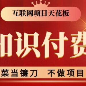 2024知识付费实操项目教程 新手可落地的高收益变现方法-雨叶虚拟资源网