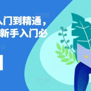 Lazada东南亚跨境电商实操教程 新手从入门到精通全阶段运营课-雨叶虚拟资源网