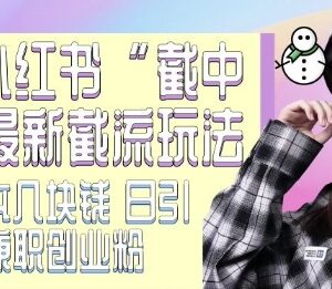 小红书截中截引流玩法实操教程 低成本获取精准创业兼职粉-雨叶虚拟资源网