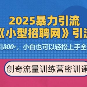 2025招聘平台引流实操方法 单日引流300+变现全流程指南-雨叶虚拟资源网