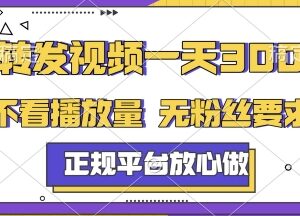 正规种草视频代发项目介绍 无粉丝要求不看播放量即可赚收益-雨叶虚拟资源网
