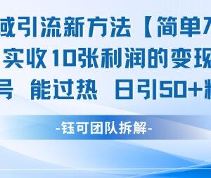 男粉私域引流实操新方法 日引50+精准粉搭配后端可稳定变现-雨叶虚拟资源网