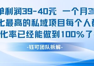 家庭刚需类高转化私域项目解析 每单利润40月入可达7000+-雨叶虚拟资源网