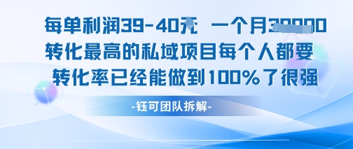 家庭刚需类高转化私域项目解析 每单利润40月入可达7000+