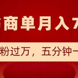 2025小红书商单最新玩法 低门槛快速涨粉接商单实操教程-雨叶虚拟资源网