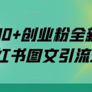 小红书图文引流创业粉实操教程 日引200+精准客源全流程详解-雨叶虚拟资源网