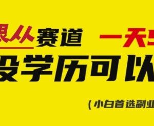 银从证书虚拟资料低门槛副业实操全教程 附配套资源合集-雨叶虚拟资源网