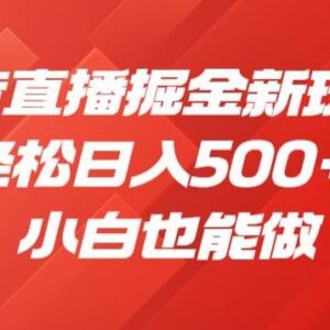 2024抖音8月最新无人直播玩法 小白可上手的低门槛变现教程-雨叶虚拟资源网