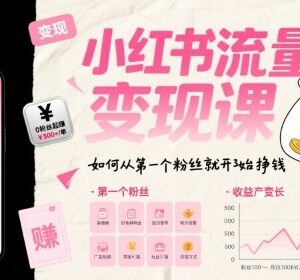 小红书流量变现实操课 新手从首个粉丝开始盈利全流程指南-雨叶虚拟资源网