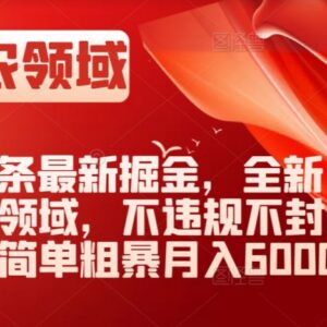头条三农领域AI掘金实操攻略 合规不封号零基础可月入6000+-雨叶虚拟资源网