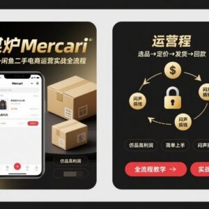 煤炉Mercari跨境二手电商运营全流程 新手高利润实操入门指南-雨叶虚拟资源网