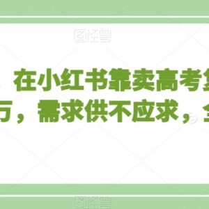 零成本小红书售卖中小学及高考复习资料 月入过万实操玩法解析-雨叶虚拟资源网