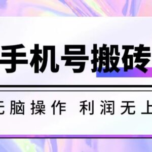无脑搬砖项目揭秘：无限接码撸红包操作流程及收益详情-雨叶虚拟资源网