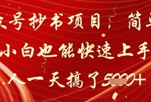 公众号小绿书抄书项目实操拆解 零写作基础小白可快速上手变现-雨叶虚拟资源网