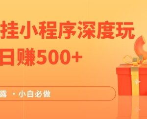 2024抖音挂载小程序赚钱实操玩法 小白可做的稳定副业项目-雨叶虚拟资源网