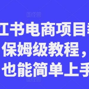 小红书电商开店运营全流程保姆级教程 零基础小白可上手-雨叶虚拟资源网