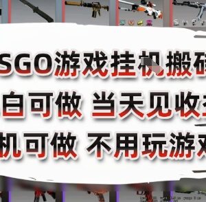 CSGO游戏搬砖副业项目解析 纯手机操作无需玩游戏日入300+-雨叶虚拟资源网