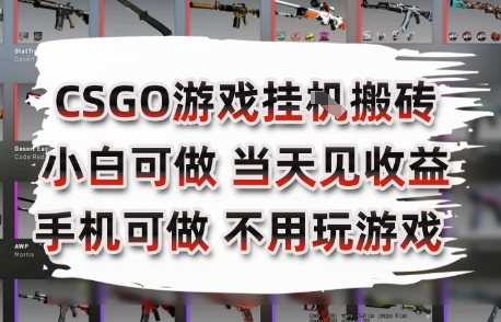 CSGO游戏搬砖副业项目解析 纯手机操作无需玩游戏日入300+