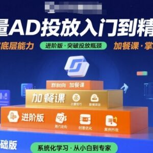 巨量AD投放从入门到精通教程 基础进阶加餐全内容实操干货合集-雨叶虚拟资源网