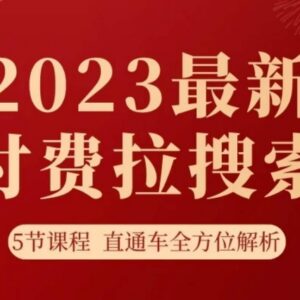2023淘系付费拉搜索实操打法 5节直通车运营课程全解析-雨叶虚拟资源网