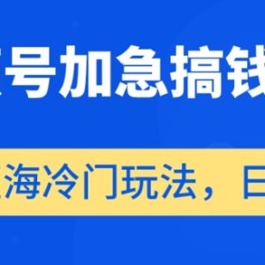 视频号蓝海冷门赚钱玩法揭秘 低门槛可实操日入500+项目指南-雨叶虚拟资源网