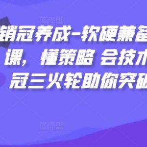 销冠养成软硬兼备销售技能课 懂策略会技术助力突破销售瓶颈-雨叶虚拟资源网