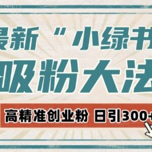2024小绿书自动化引流实操教程 激活私域每日获300+高质量精准粉-雨叶虚拟资源网
