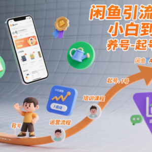 闲鱼从小白到高手运营培训教程 含养号起号全流程干货-雨叶虚拟资源网