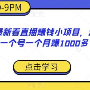 2023年看直播赚钱正规小项目 适合宝妈居家操作月入超千元-雨叶虚拟资源网