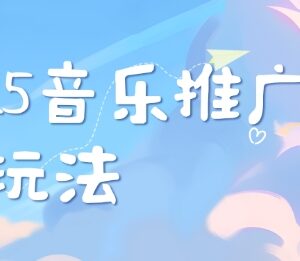 2025新版音乐推广赛道玩法分享 打造个人专属账号风格指南-雨叶虚拟资源网